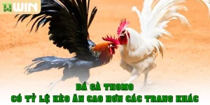 da ga thomo thumb