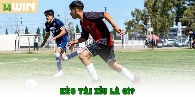 Hướng dẫn chi tiết cách đọc và chơi kèo tài xỉu tại 11win 1 Kèo tài xỉu là gì?