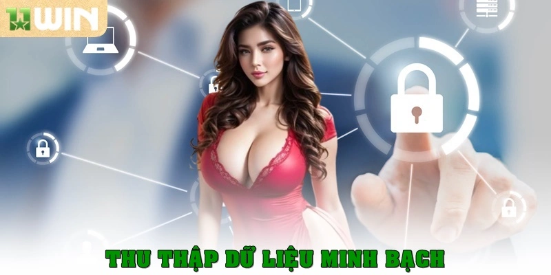 Chính Sách Bảo Mật – Nền Tảng An Toàn Cho Game Thủ 2 Thu thập dữ liệu minh bạch